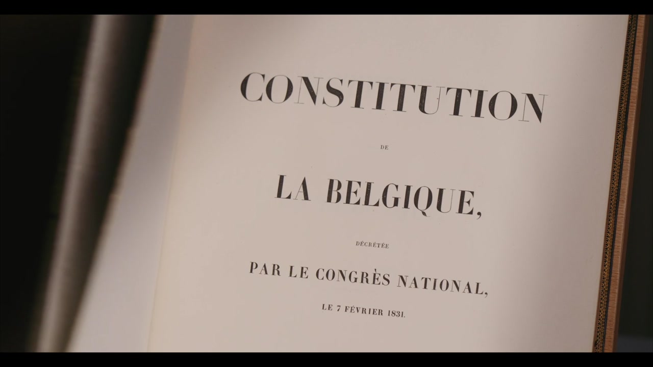 Introduction d'une affaire devant la Cour constitutionnelle – Transcription